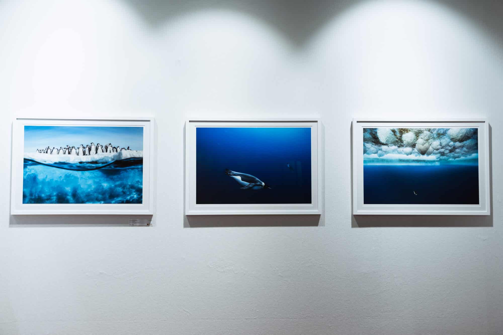 SPL_ARTMTP_NIN02629-@nina_perrier