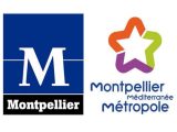 montpellier-1-500x375 (1)